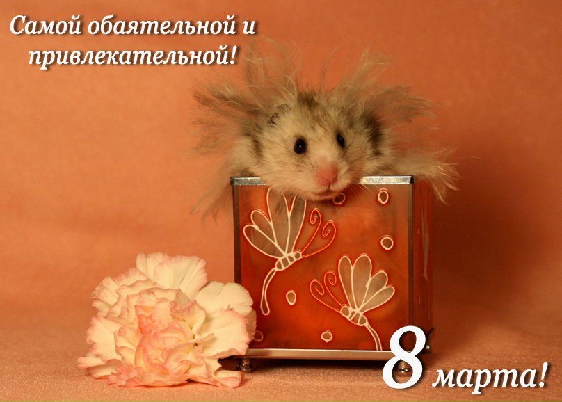 Яна Мирошкина Ohnegeld | Курган