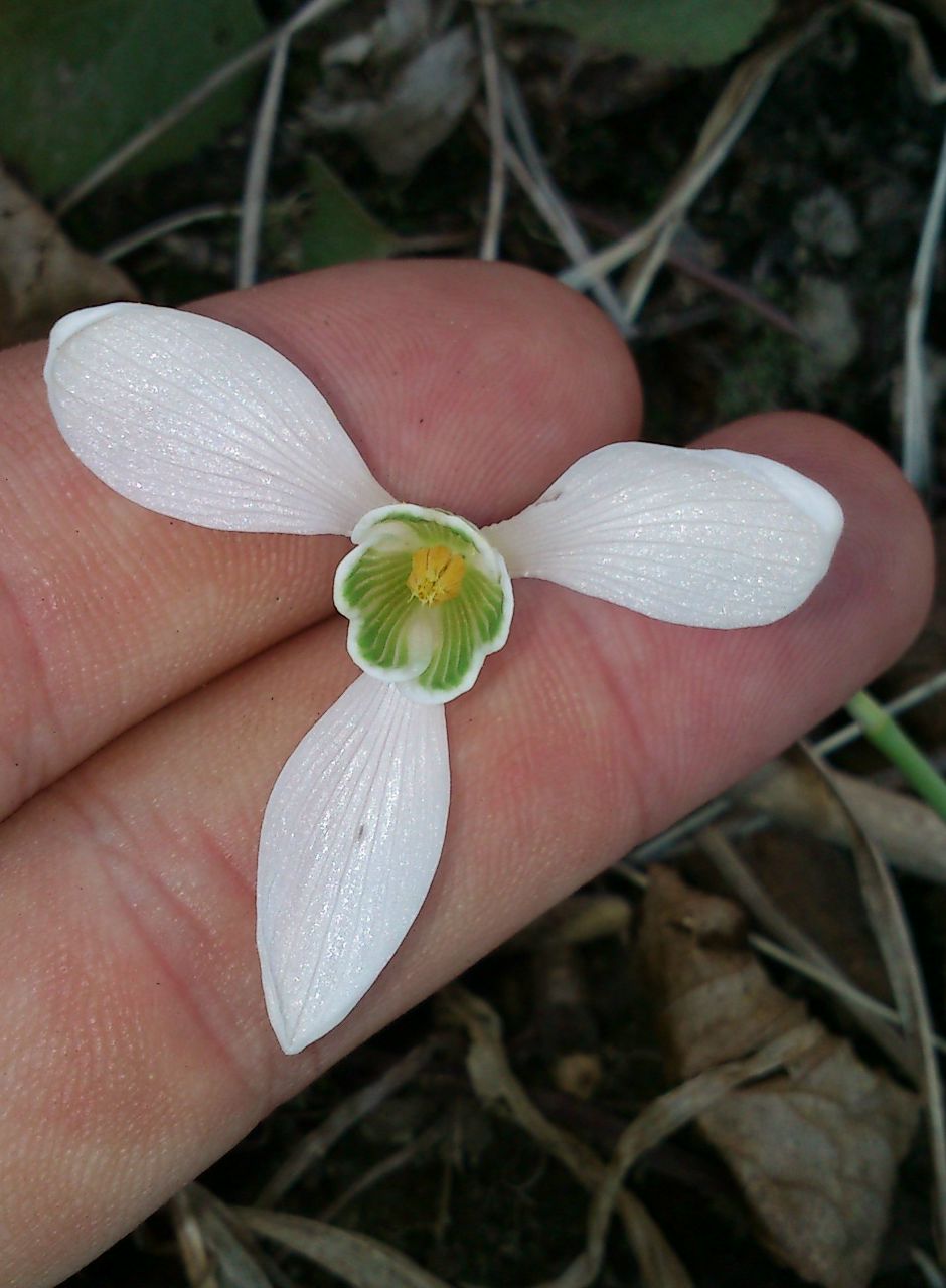 Дмитрий Стрюков | Кривой Рог