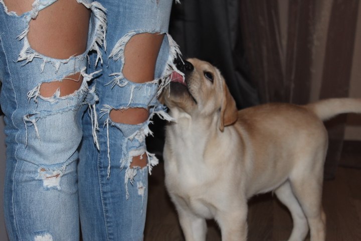 Марина Глазова | Москва