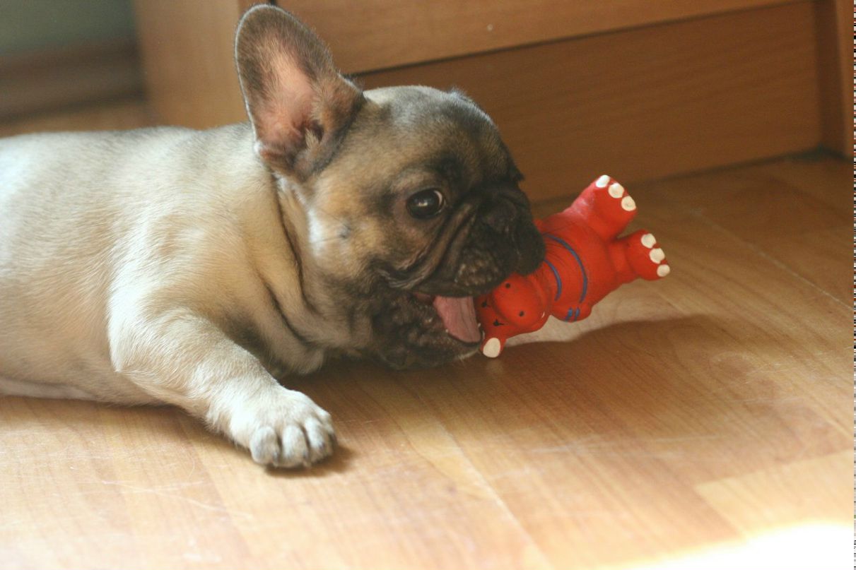 Света Мельник | Москва