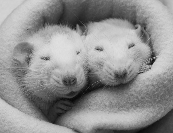 Алёнка Витальева | Казань