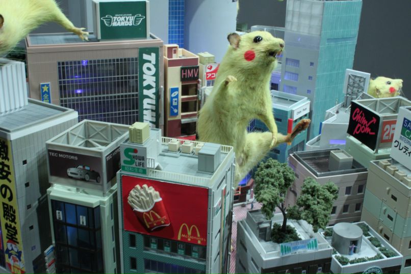 Ори Эйкинскьяльди | San Francisco