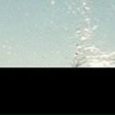 Януля Крохмаль | 