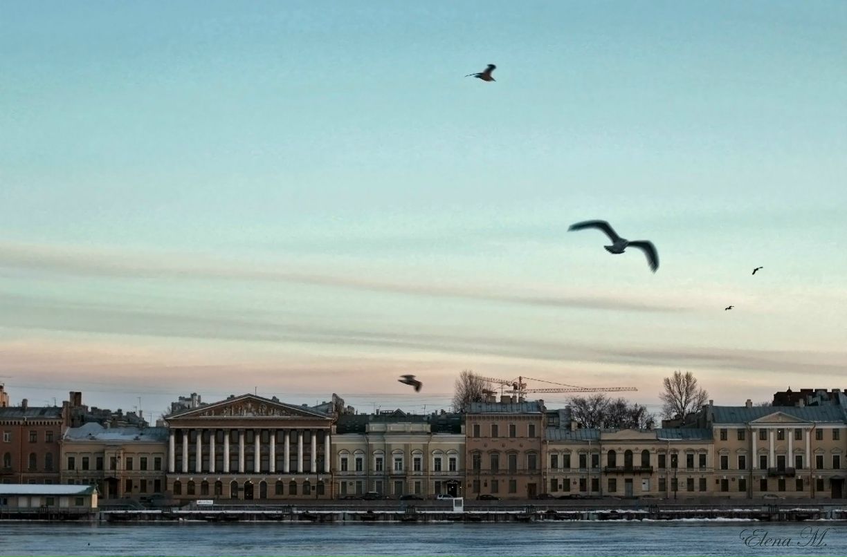 Елена Чёрная | Санкт-Петербург