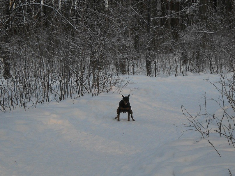 Ляйсан Шарипова | Уфа