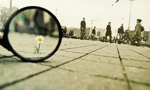 Анна Ромашка | Николаев