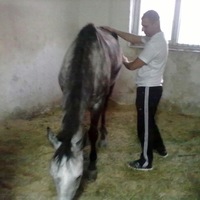 Сергей Геннадьевич