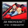 Аватар: Анна Крикотина