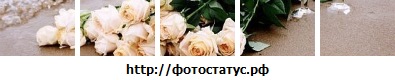 №100, Юлия Лиева, 33 года №100, Юлия Лиева, 33 года