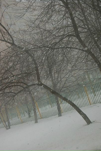 №23, Юрий Шурыгин, Киев №23, Юрий Шурыгин, Киев