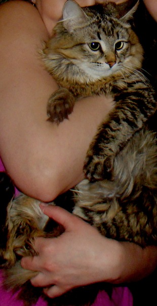 №16, Влад Москвин, Сургут №16, Влад Москвин, Сургут