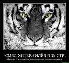 Фотография Sergey Antonov