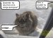 Ирина Родионова фотография #32