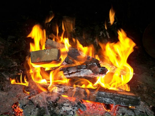 №3, Людмила Рекуц №3, Людмила Рекуц