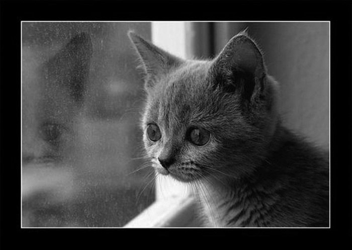 Марина Коновалова | Санкт-Петербург