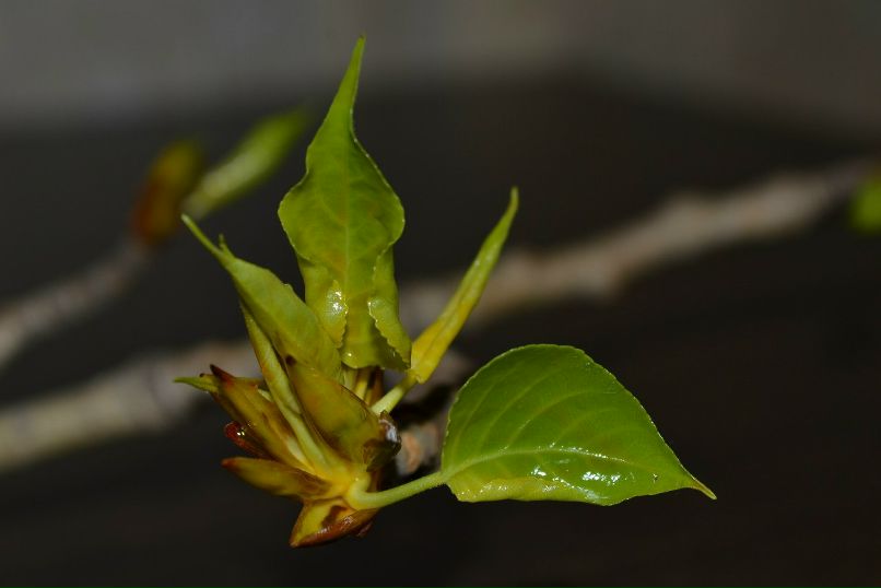 Ольга Ступина | Уфа