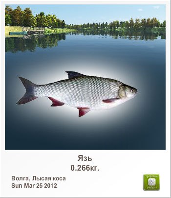 Людмила Морозова | 