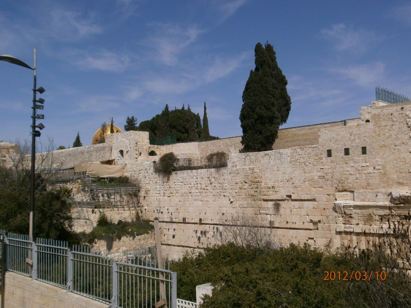 Татьяна Кириличева | Санкт-Петербург