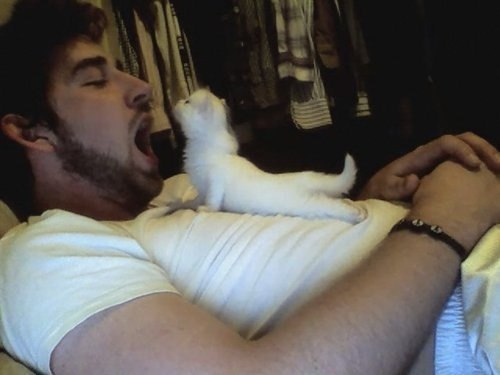 Дмитрий Бадяев | 