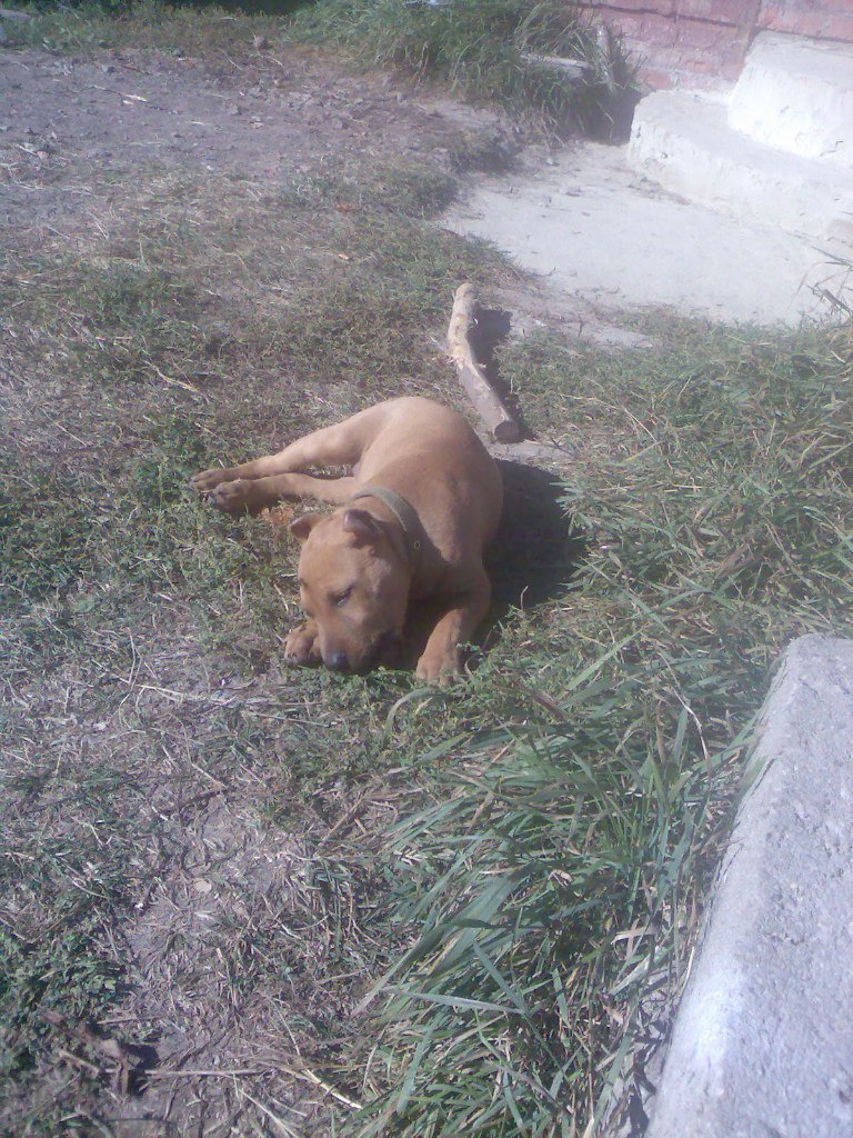 Слава Манжос | Харьков