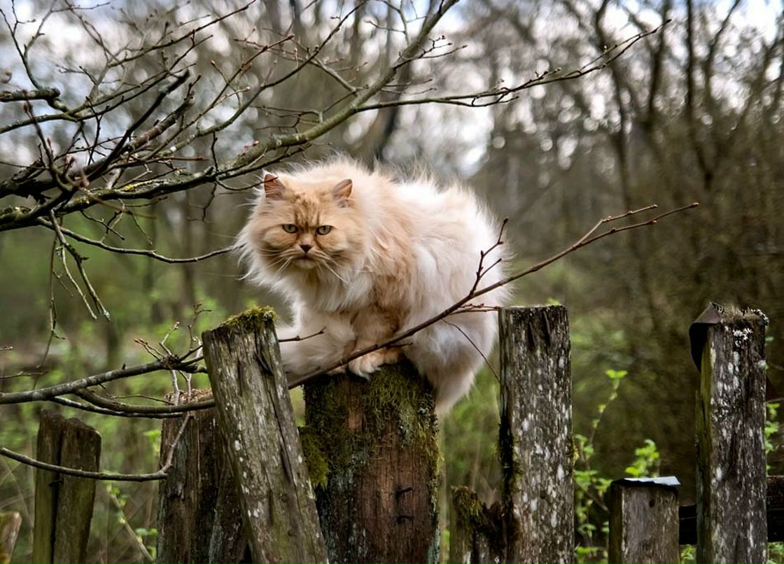 Галина Марова | Мурманск