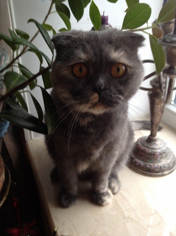 Артем Измайлов | Москва