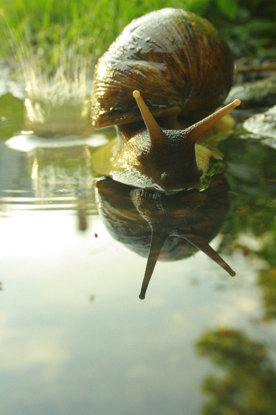 Владимир Тимофеев | Санкт-Петербург