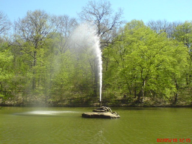 Євген Смоляр | 