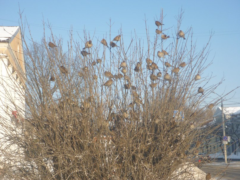 Екатерина Сергеенкова | Тверь