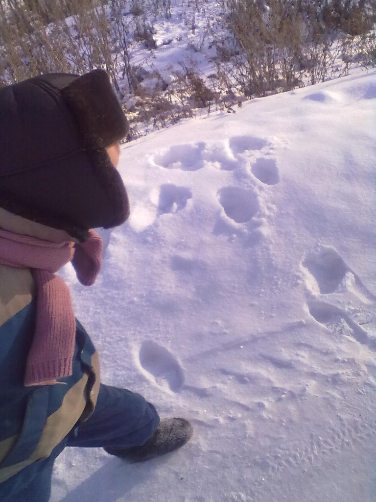 Гузель Иксанова | Кушнаренково