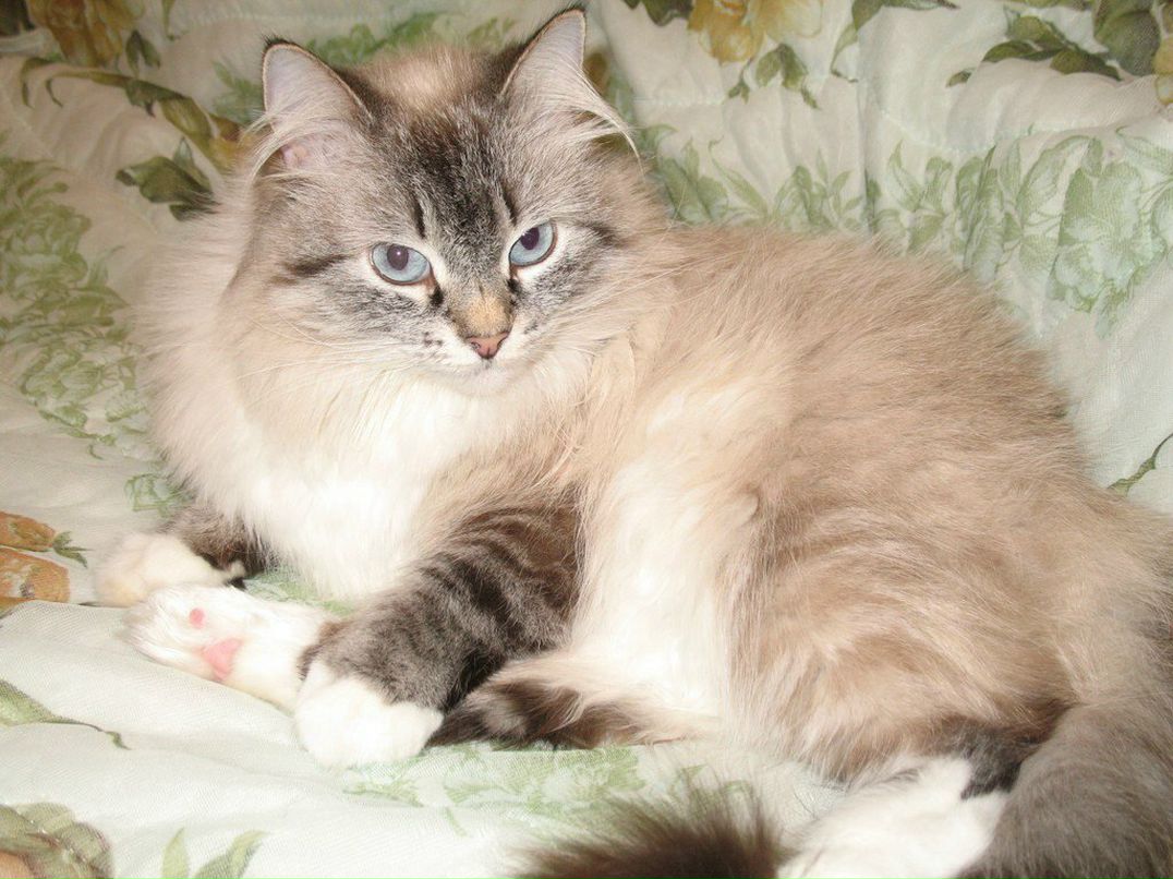 Виктория Лебедь-Федорчук | Киев