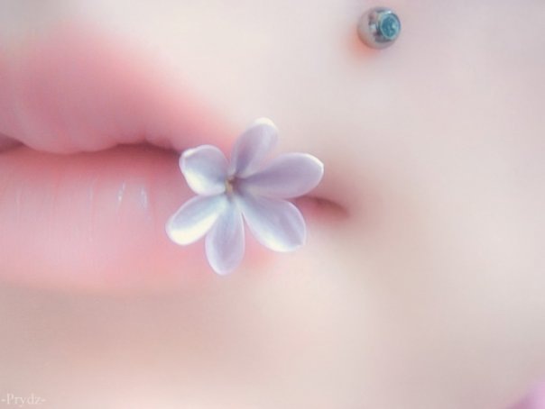 №24, Марина Морская, Petrovac na Moru №24, Марина Морская, Petrovac na Moru