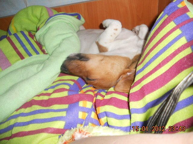 Ольга Лашина | Москва