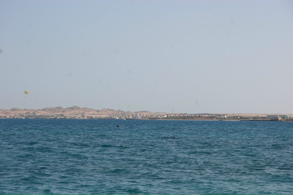 Станислава Звенкова | Обнинск