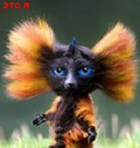 Андрей Гомалеев | Алейск