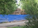 Екатерина Беляева, Санкт-Петербург, Россия, 27.07