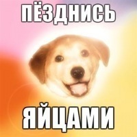 №1, Артём Шамов, Днепр (Днепропетровск) №1, Артём Шамов, Днепр (Днепропетровск)