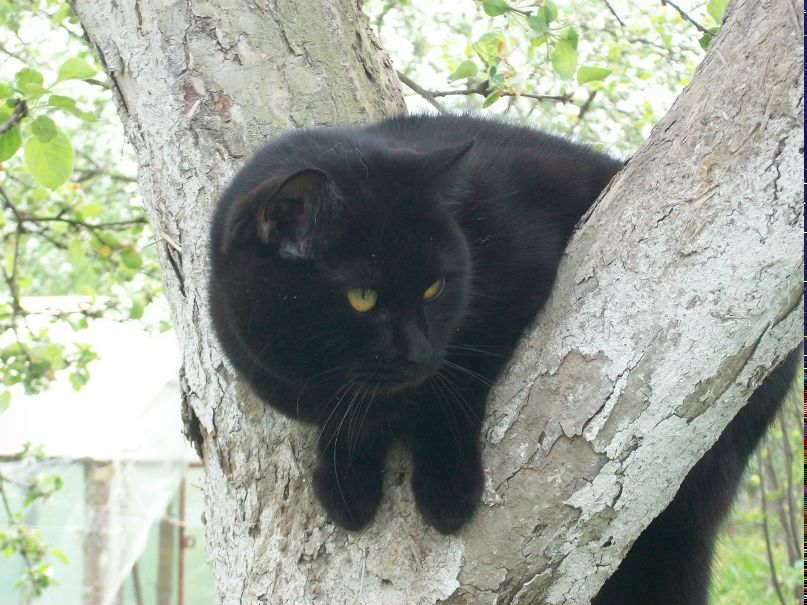 Татьяна Щербакова | Москва