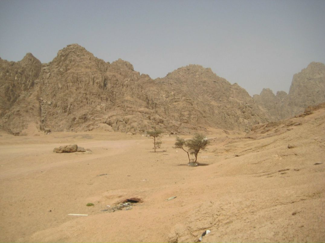 Ольга Чугункина | Щекино (деревня)