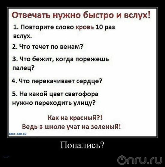 №5, Андрей Кочешов №5, Андрей Кочешов