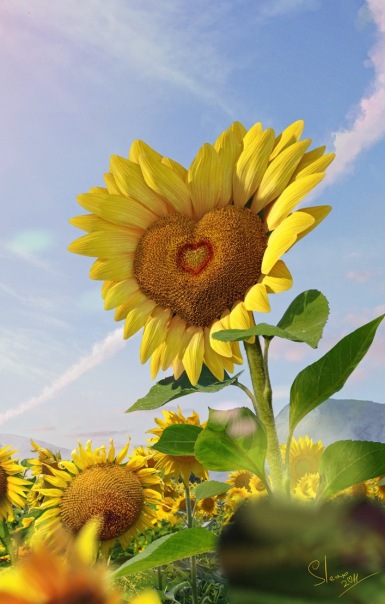 №111, Алексей Сорока, Львов №111, Алексей Сорока, Львов