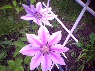 №2, Андрей Субботин №2, Андрей Субботин