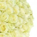 №175, Максим Тарасов, 37 лет, Казань №175, Максим Тарасов, 37 лет, Казань