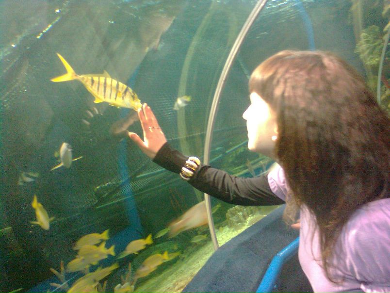 №18, Инна Грозаву №18, Инна Грозаву