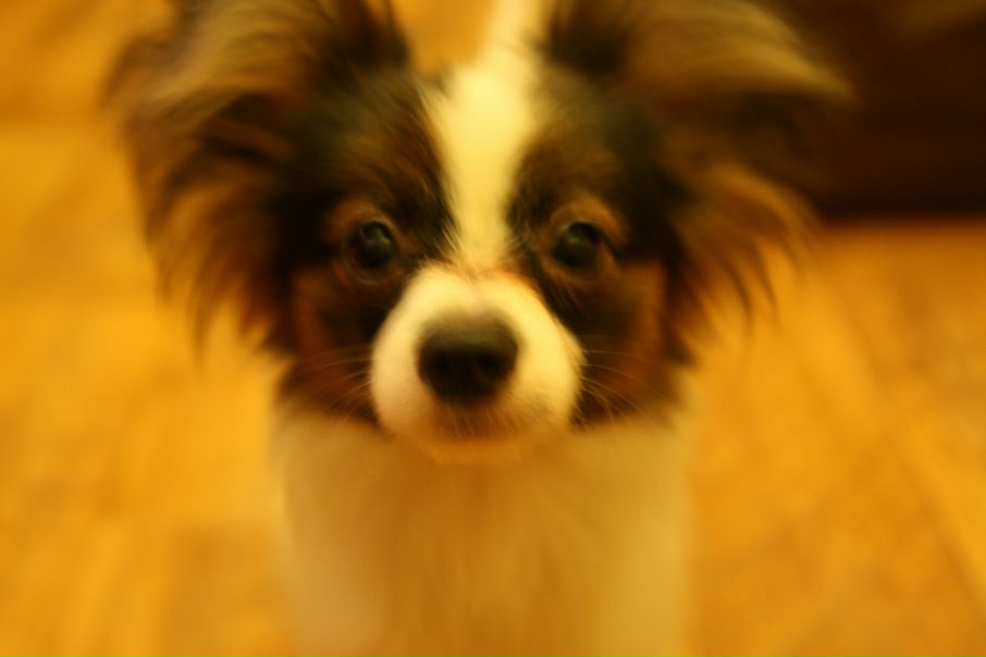 №25, Дина Дусова, Москва №25, Дина Дусова, Москва