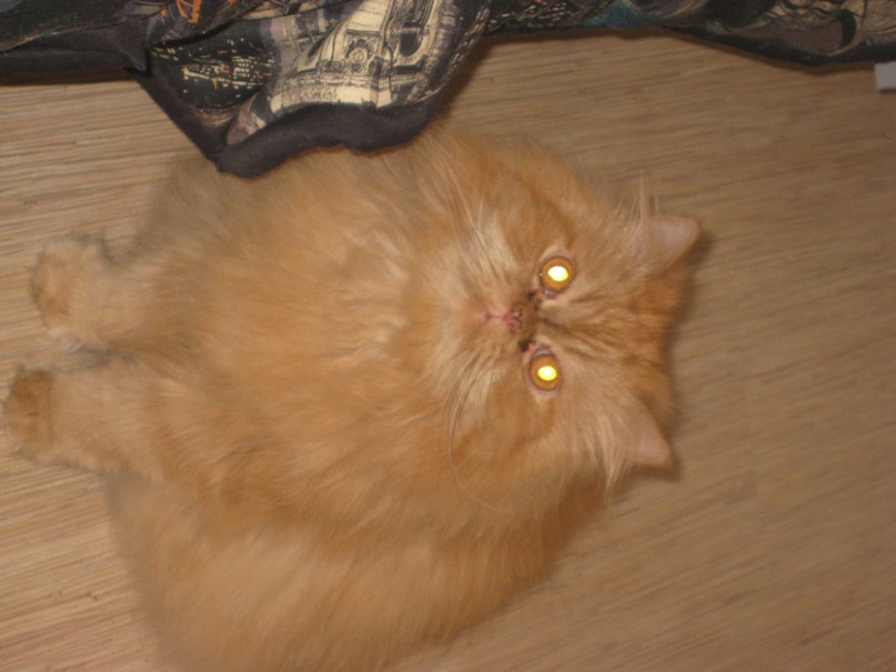 Геннадий Афонин | Петрозаводск