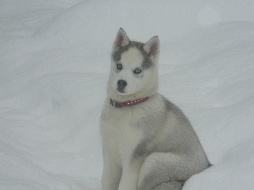 Виктория Сивачева | Обнинск
