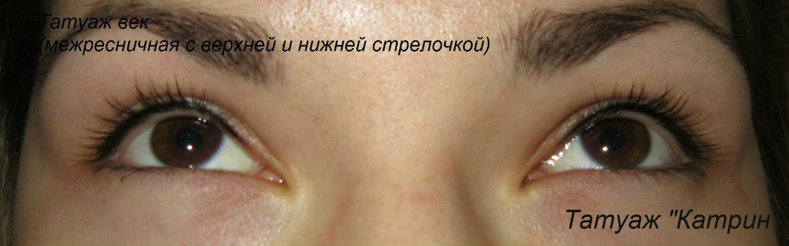 Екатерина Ящерица | Киев