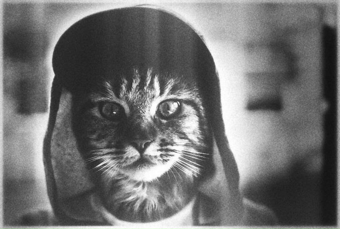 Сергей Гусев | Казань