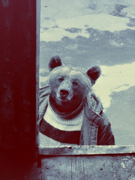 Александр Владимиров | Железногорск